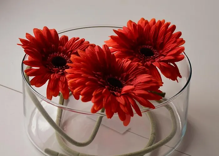 Casa Relli 30 Minutes To Center